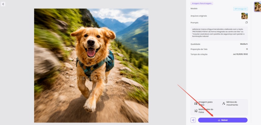 faca o download gratuito