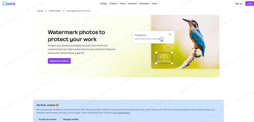 canva para criar watermark
